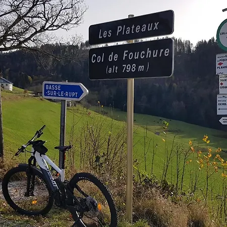 La Clementine 아파트 *