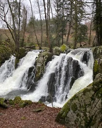 La Clementine Vagney