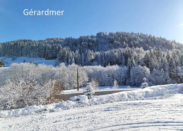 La Clementine Apartment Vagney